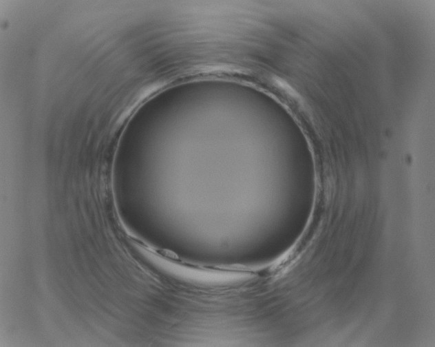 X0000061751361200512231515