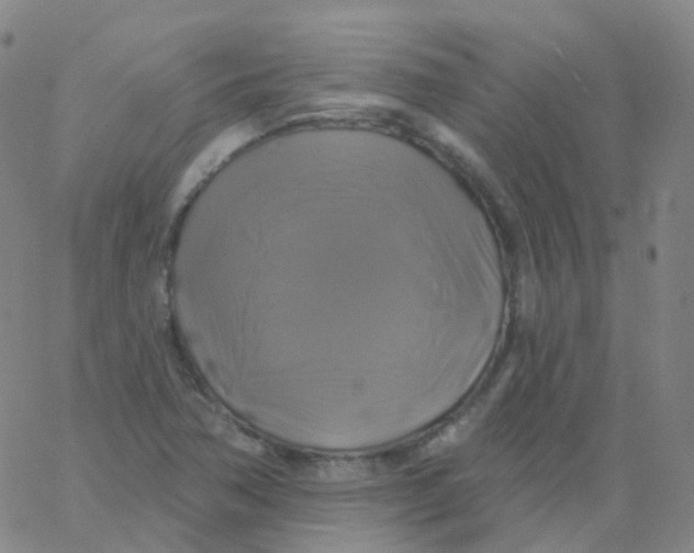 X0000061751362200512231515