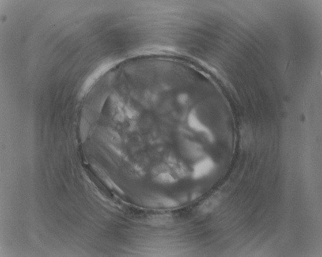 X0000061751363200512231515