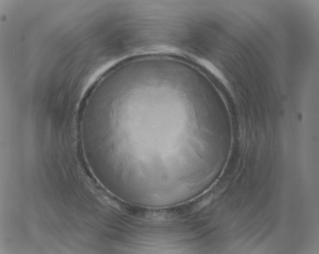 X0000061751364200512231515