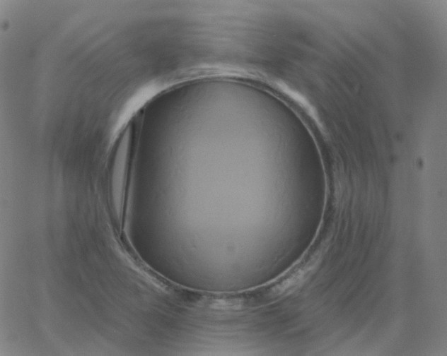 X0000061751365200512231515