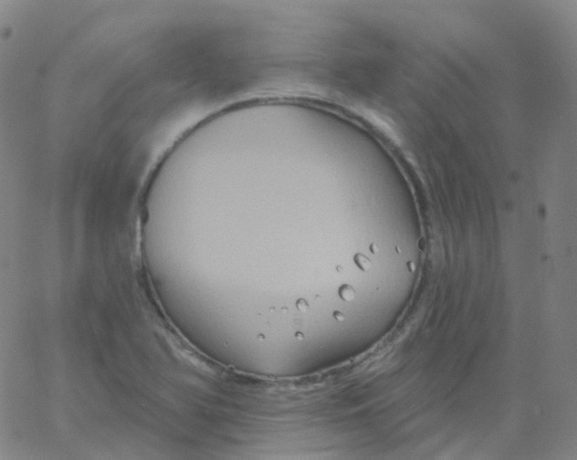 X0000061751366200512231515