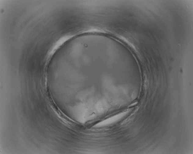 X0000061751367200512231515