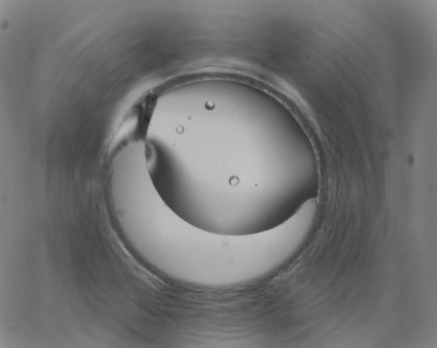 X0000061751368200512231515