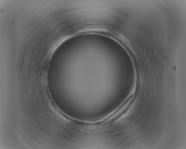 X0000061751369200512231515