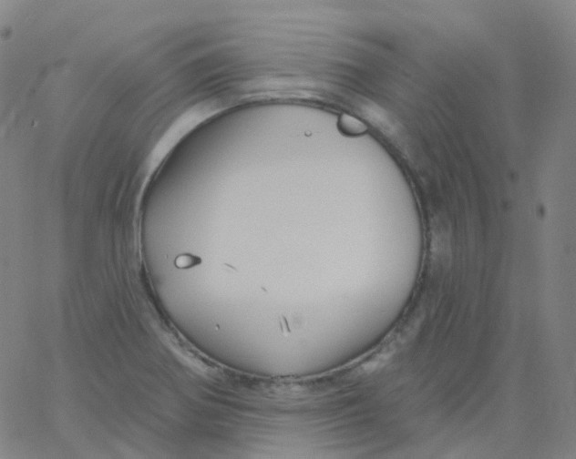 X0000061751370200512231515