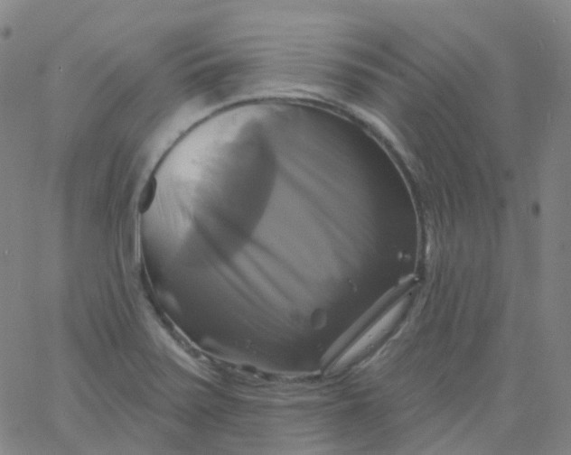 X0000061751371200512231515