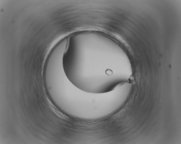 X0000061751372200512231515