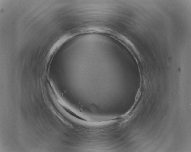 X0000061751373200512231515