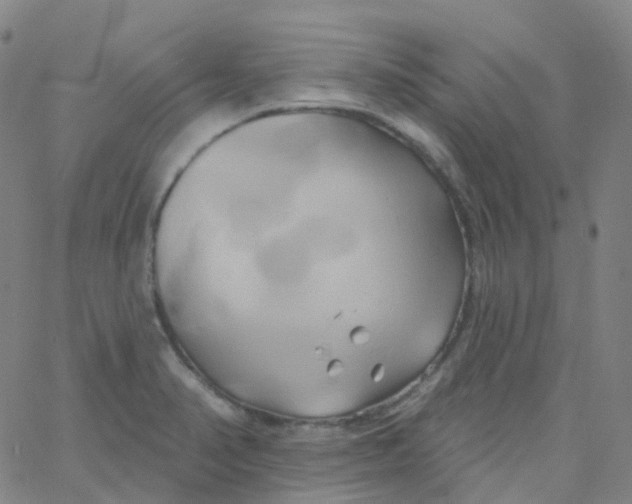 X0000061751374200512231514