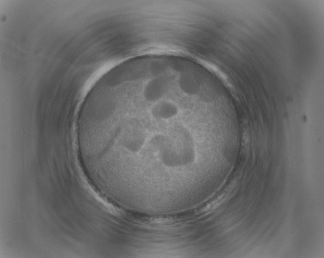 X0000061751375200512231514