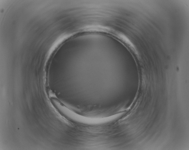 X0000061751376200512231514