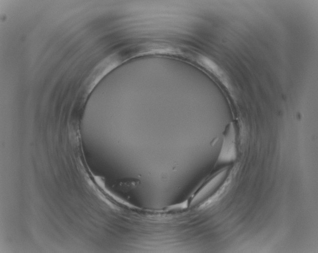 X0000061751377200512231514