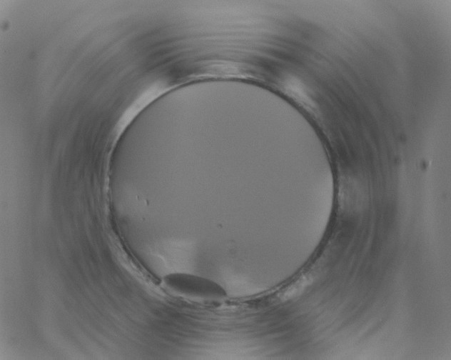 X0000061751378200512231514