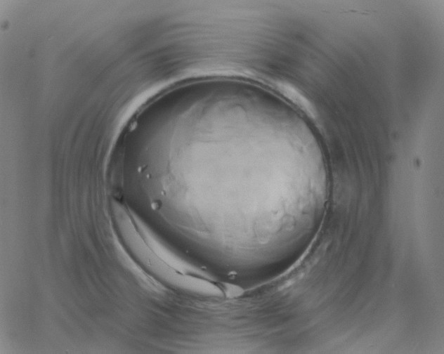 X0000061751380200512231514