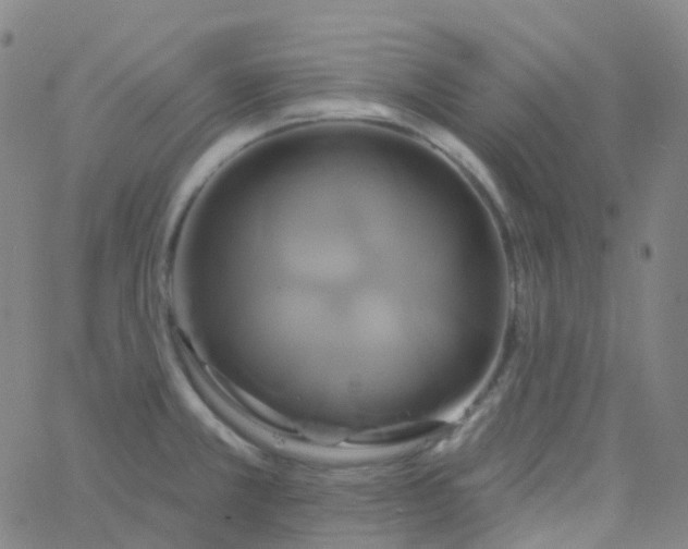 X0000061751381200512231514