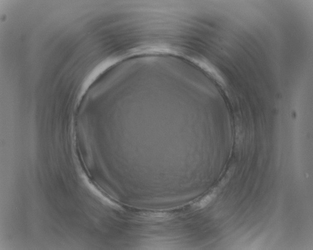 X0000061751382200512231514