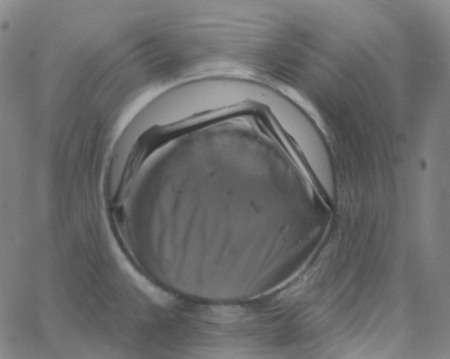 X0000061751383200512231514