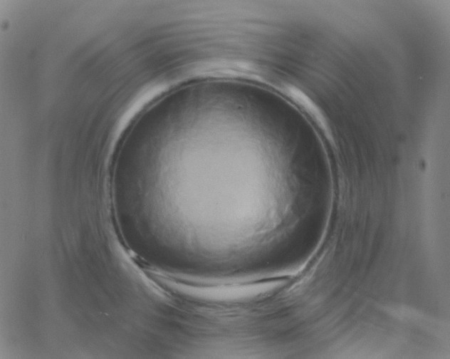 X0000061751384200512231514