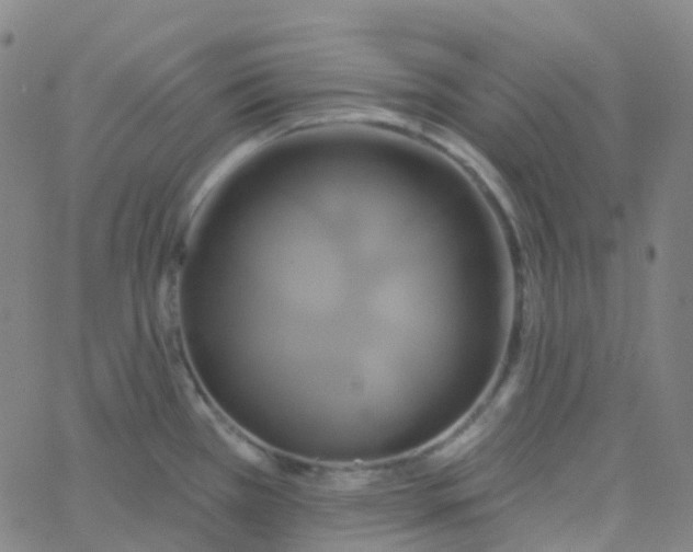 X0000061751385200512231514