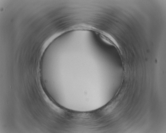 X0000061751387200512231514