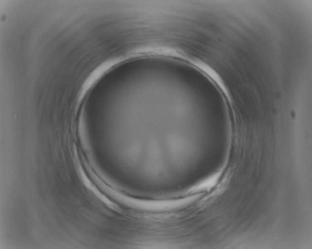 X0000061751389200512231514