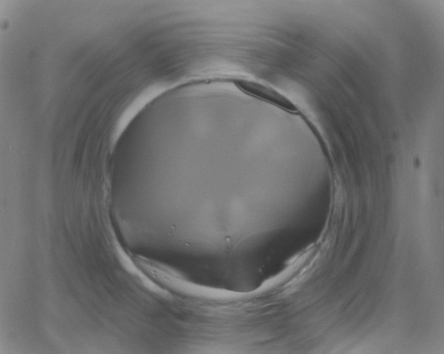 X0000061751390200512231514