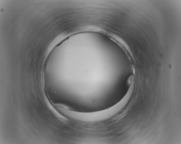 X0000061751391200512231514