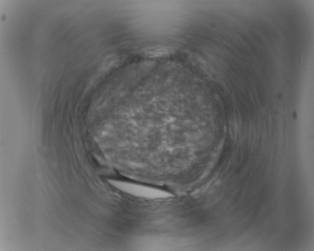 X0000061751393200512231513