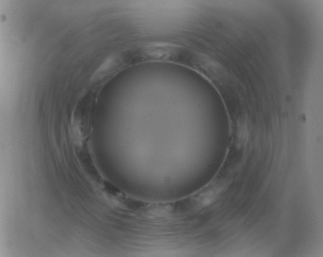 X0000061751394200512231513