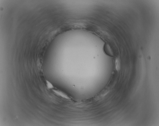 X0000061751395200512231513