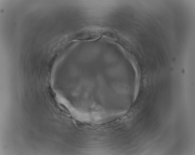 X0000061751397200512231513