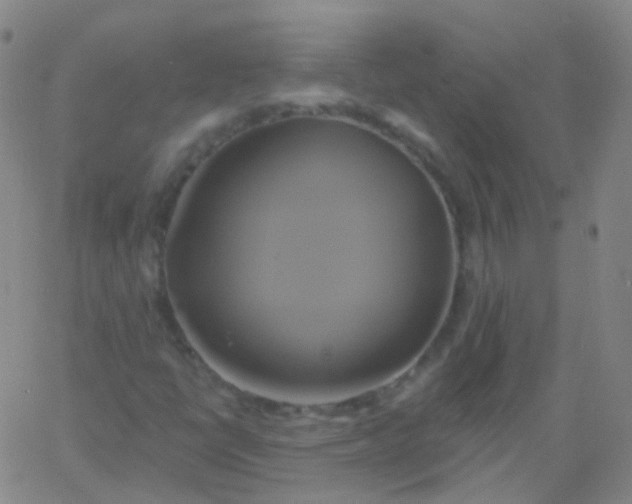 X0000061751398200512231513