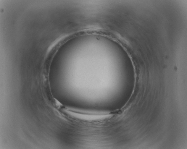 X0000061751400200512231514