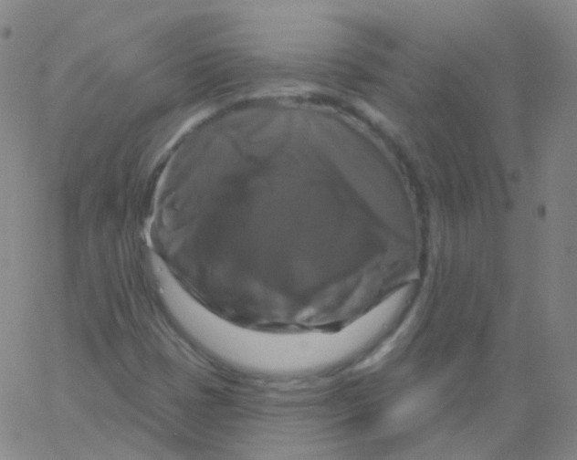 X0000061751401200512231514