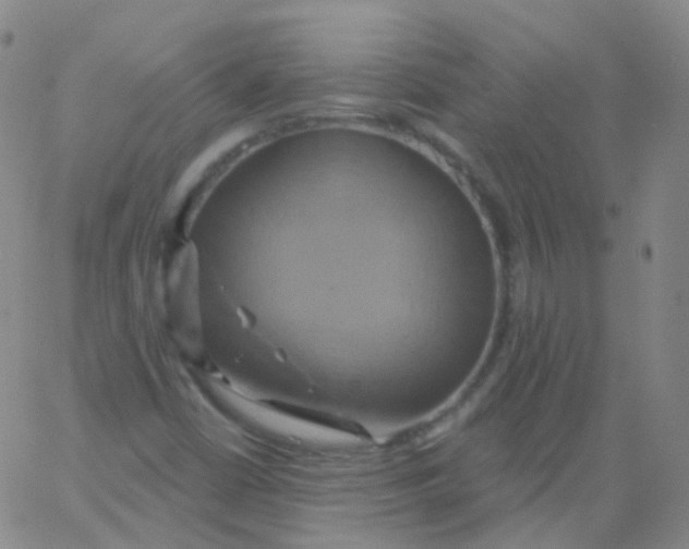 X0000061751402200512231514