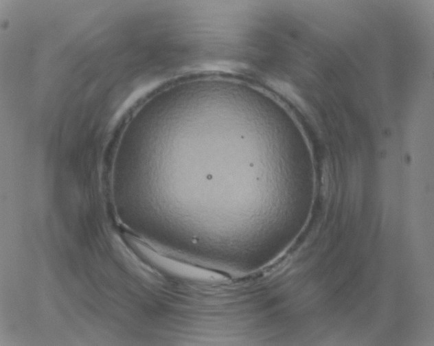 X0000061751404200512231514