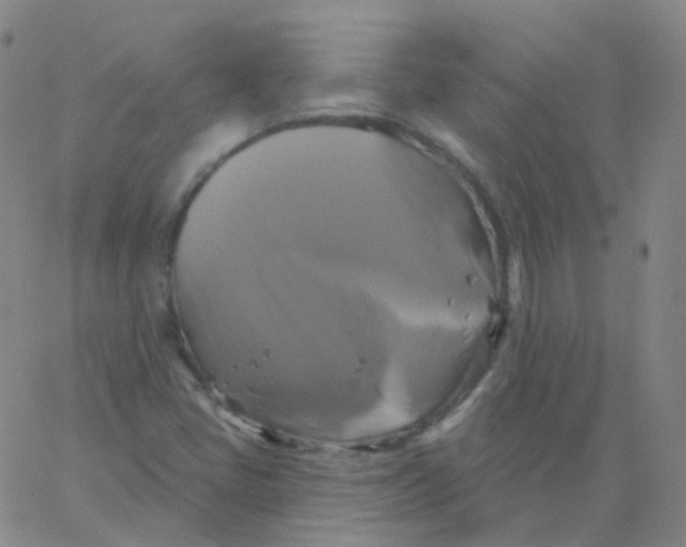 X0000061751405200512231514