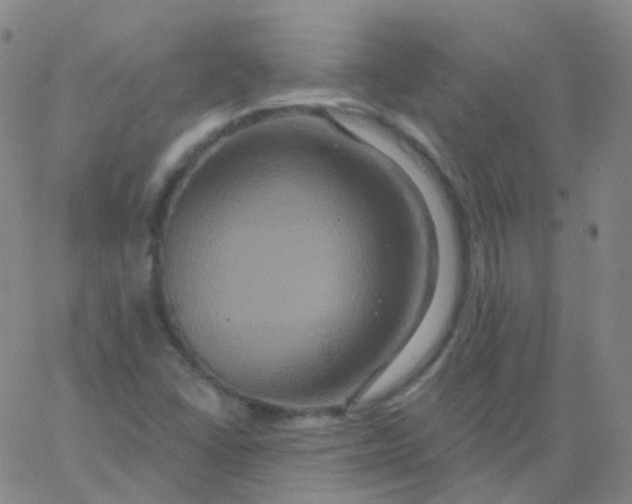 X0000061751406200512231514