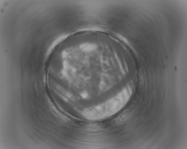 X0000061751408200512231514