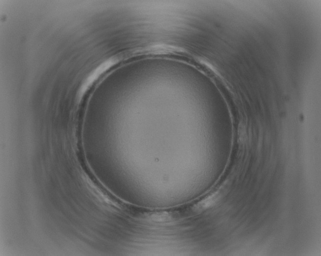 X0000061751410200512231514