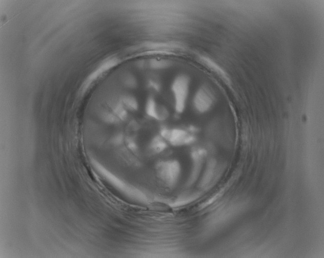 X0000061751411200512231514