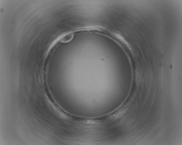 X0000061751412200512231514