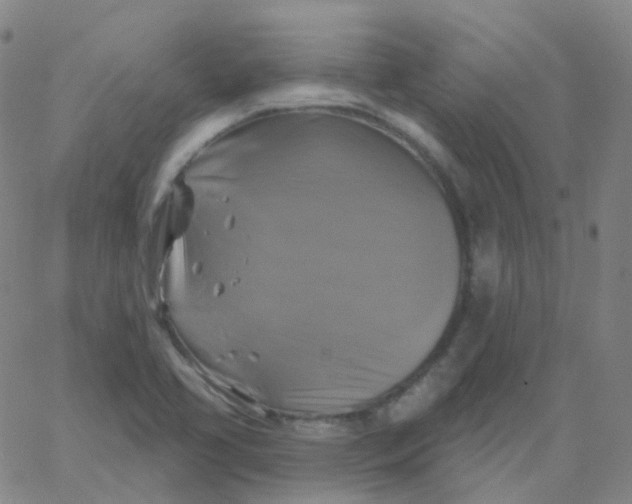 X0000061751413200512231514