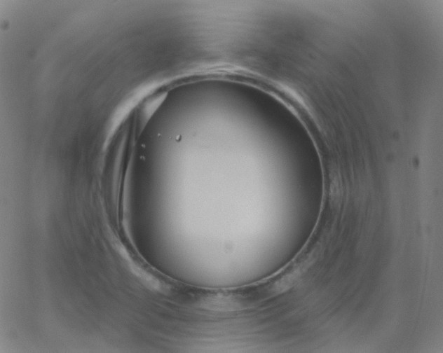 X0000061751414200512231514