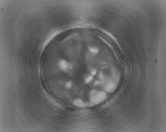 X0000061751415200512231514