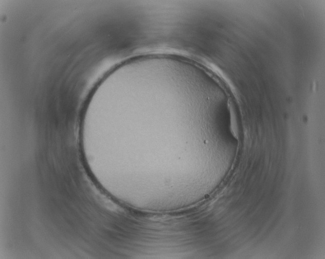 X0000061751416200512231514