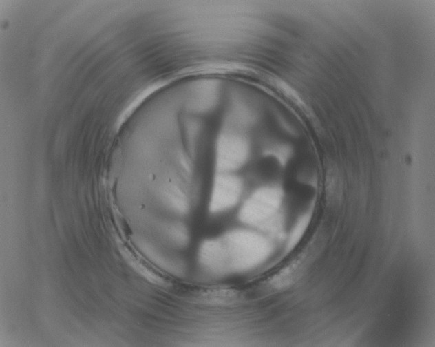 X0000061751417200512231514