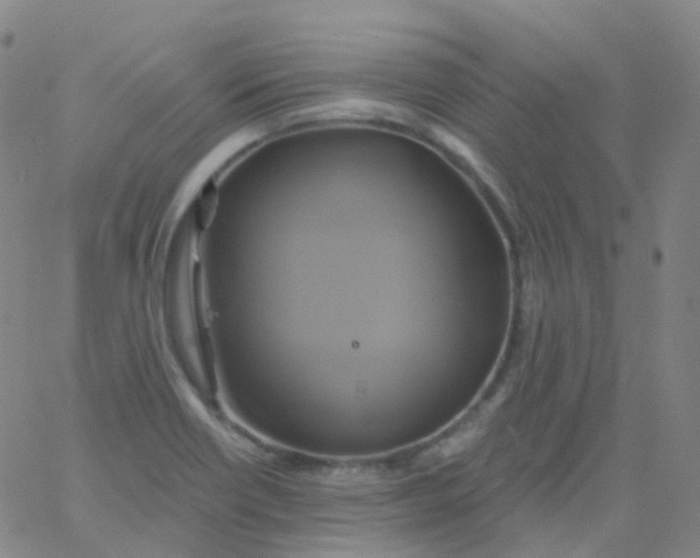 X0000061751418200512231514