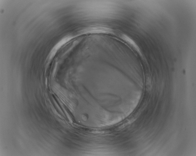 X0000061751419200512231514